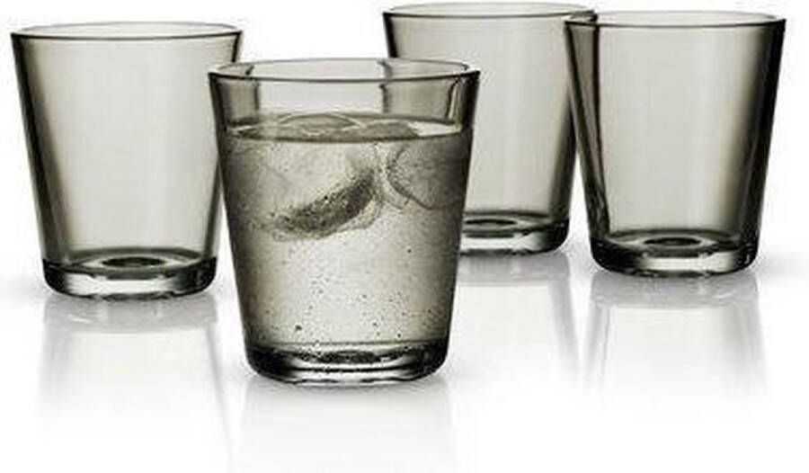 Eva Solo Drinkglazen (Set van 4) Grijs