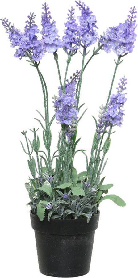 Everlands Lavendel kunstplant in pot lila paars D18 x H38 cm Kunstplanten