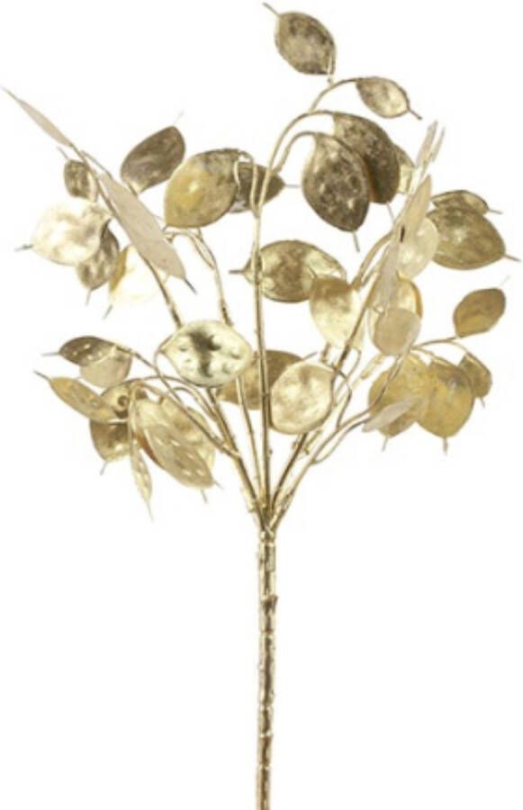 Everplant Kunsttak Lunaria Goud 40 cm Kunsttak Kunstbloem Kunsttakken Voor Binnen Decoratie