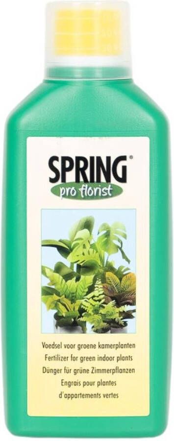 Everspring Plantenvoeding Groene kamerplanten 500ml