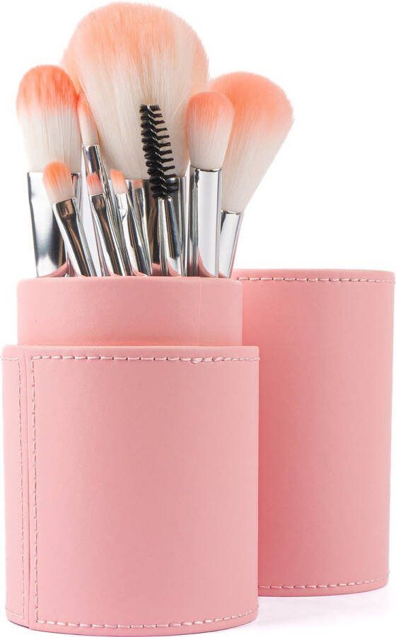 Evvie Professionele Make-up Kwastenset 10 delig – in Lederen Koker – Roze