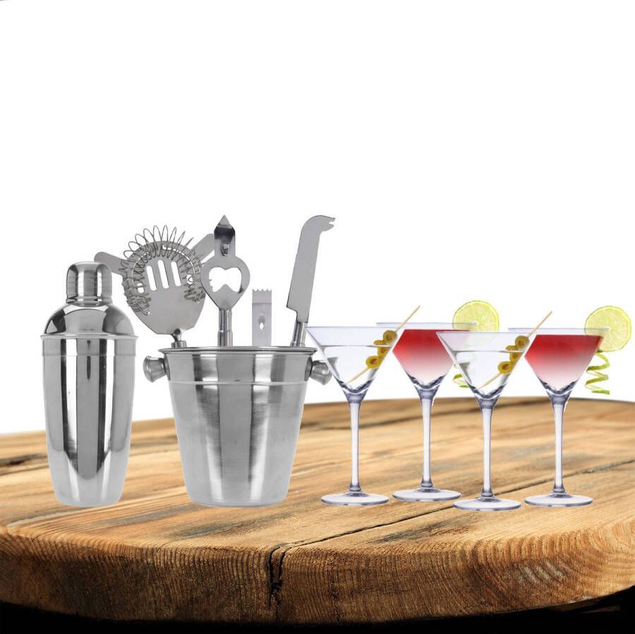Excellent Houseware cocktails maken set 6-delig met 4x Martini glazen Cocktailshakers