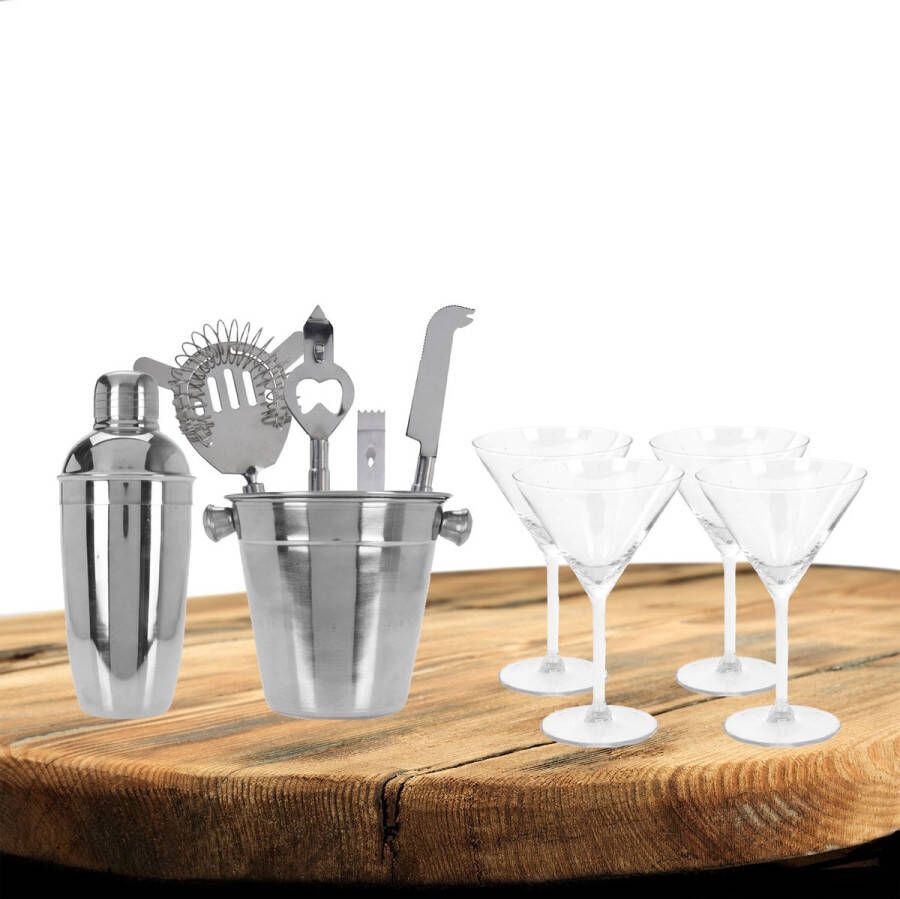 Excellent Houseware cocktails maken set 6-delig met 4x Martini glazen Cocktailshakers