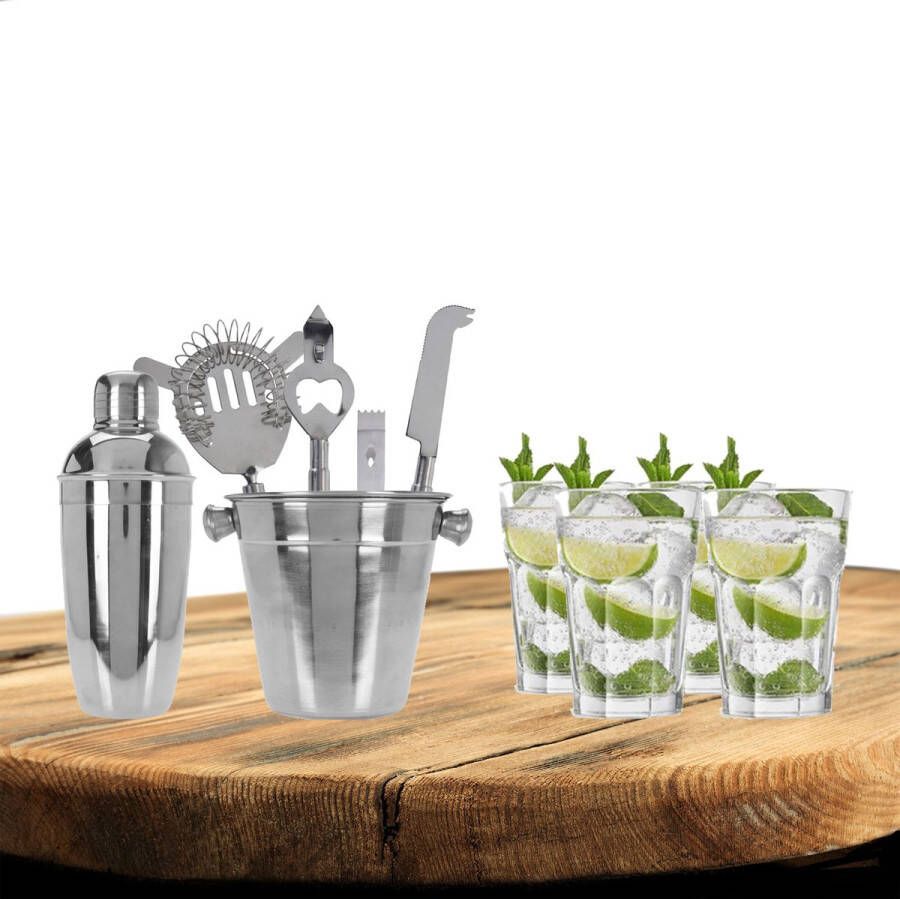 Excellent Houseware cocktails maken set 6-delig met 4x Mojito glazen Cocktailshakers