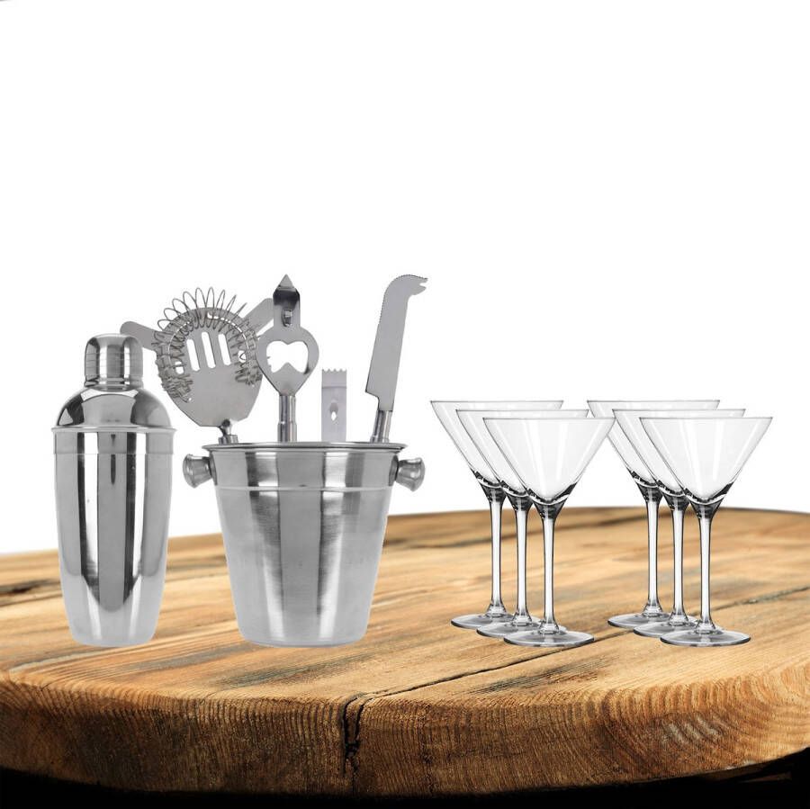 Excellent Houseware cocktails maken set 6-delig met 6x Martini glazen Cocktailshakers