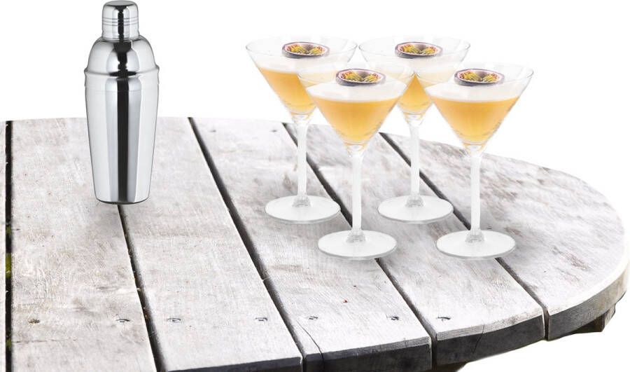 Excellent Houseware Cocktailshaker set met 4x stuks Martini cocktailglazen 260 ml Cocktailglazen