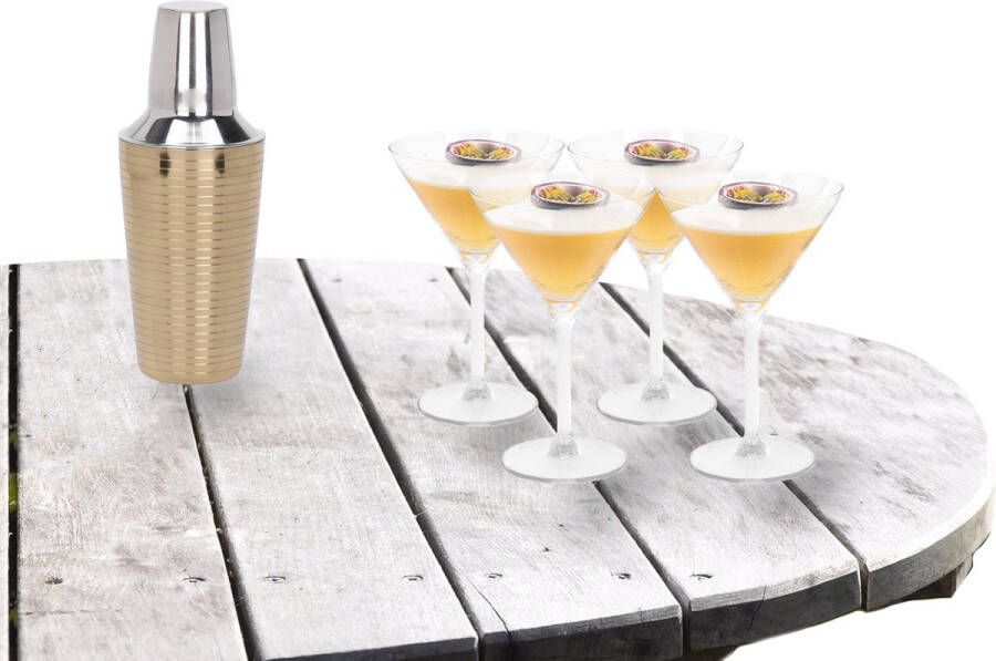 Excellent Houseware Cocktailshaker 500 ML met 4x Martini cocktailglazen 260 ml