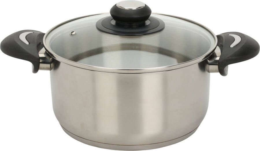 Excellent Houseware Kookpan met deksel RVS glas 2.7L D20 x H10.5 cm alle warmtebronnen