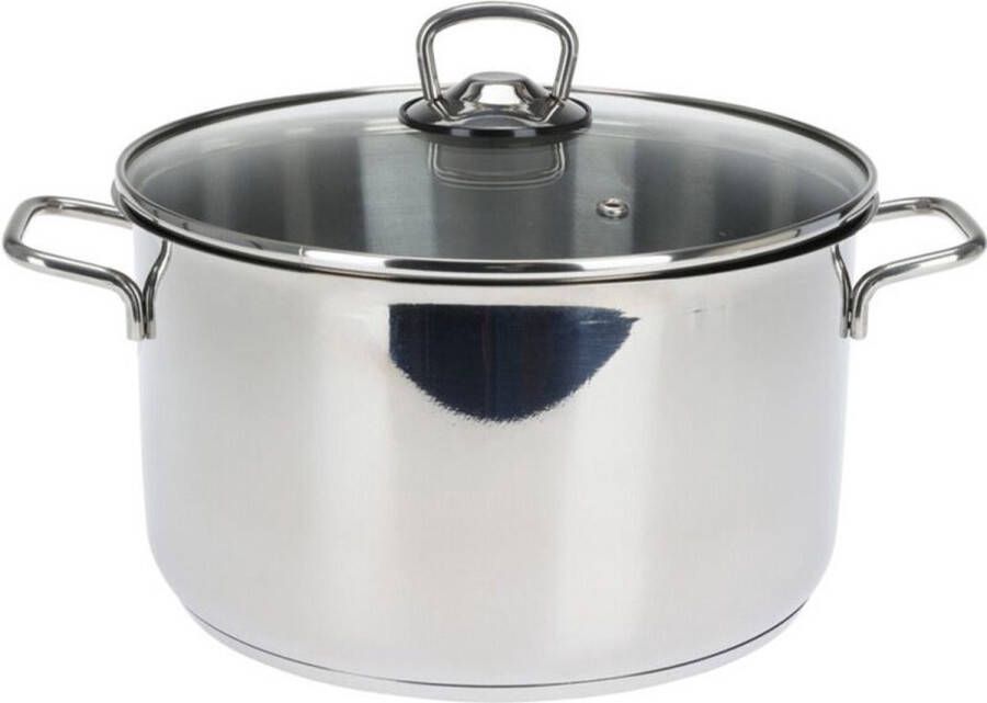 Excellent Houseware Kookpan met deksel RVS glas 6.3L D24 x H14 cm alle warmtebronnen