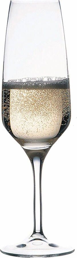 F&D Champagneglas 210 ml 6 stuks