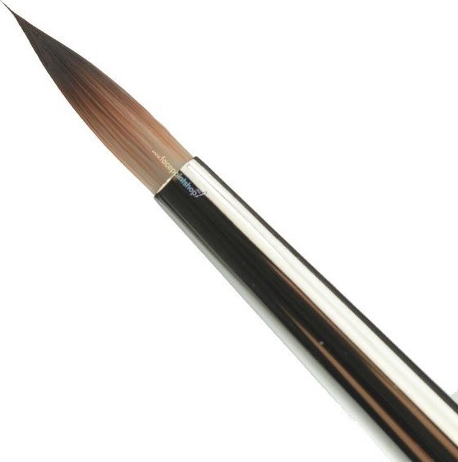 Facepaintshop Pointer Penseel 6