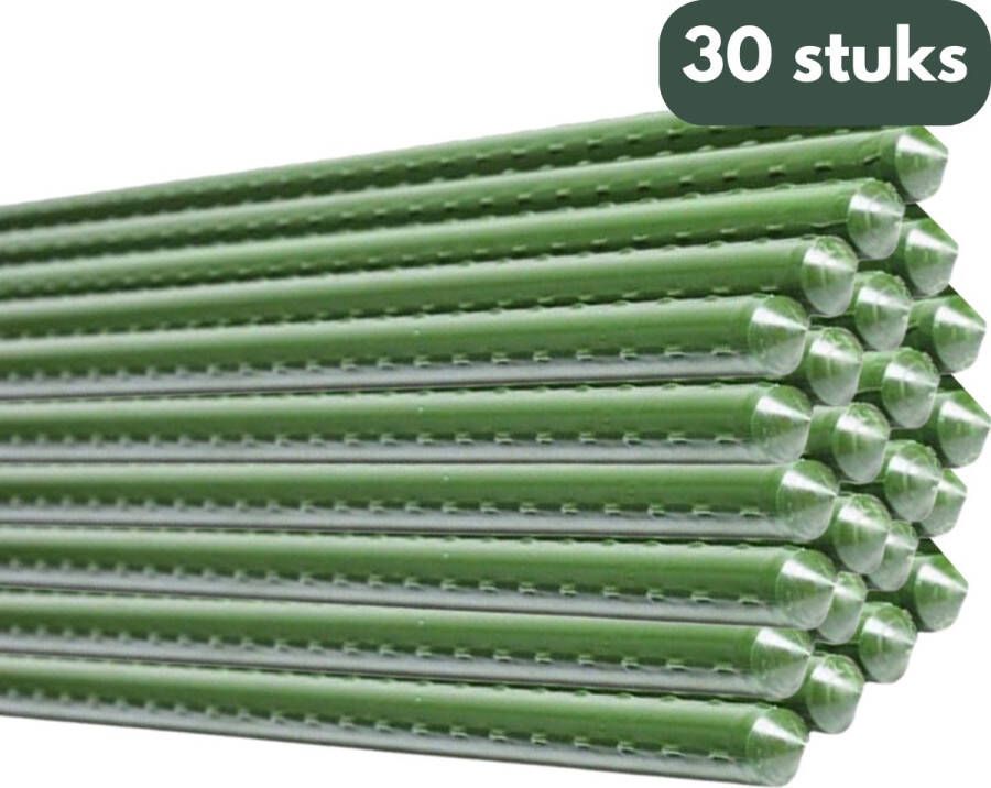 Famiflora stalen PVC plantenstokken Ø8mm set van 30 stuks L120 cm Groen