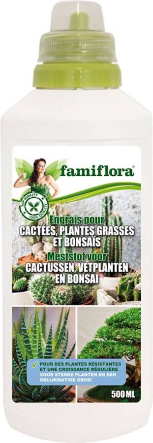 Famiflora vloeibare meststof voor Cactus Vetplanten en Bonsai 0 5L