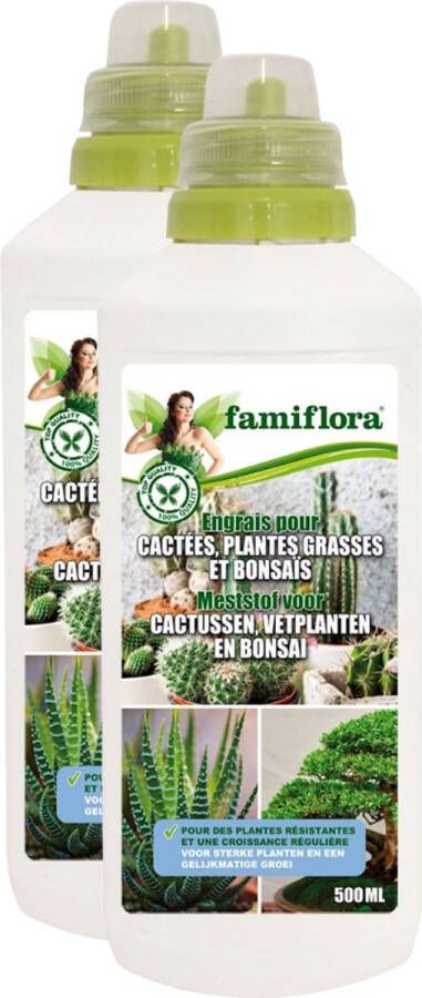 Famiflora vloeibare meststof voor cactussen vetplanten en bonsaï 1 liter (2 x 500ML)