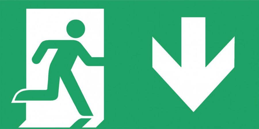 Famostar D-bord Pictogram Noodverlichting 393770 E394R