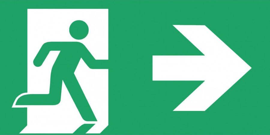Famostar D-bord Pictogram Noodverlichting 393775 E394W