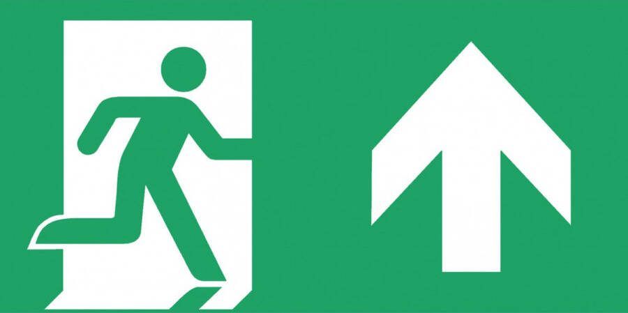 Famostar D-bord Pictogram Noodverlichting 393777 E394Y