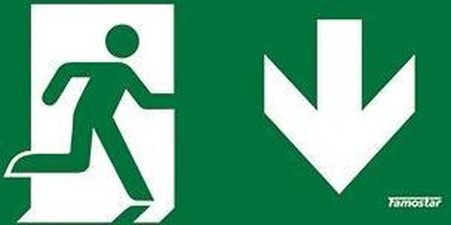 Famostar Pro Pictogram Noodverlichting 392710 E3CYK
