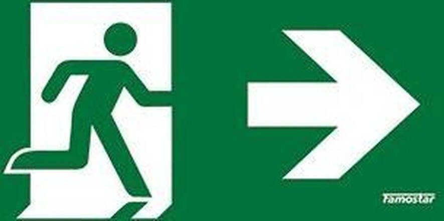 Famostar Pro Pictogram Noodverlichting 392711 E3CYJ