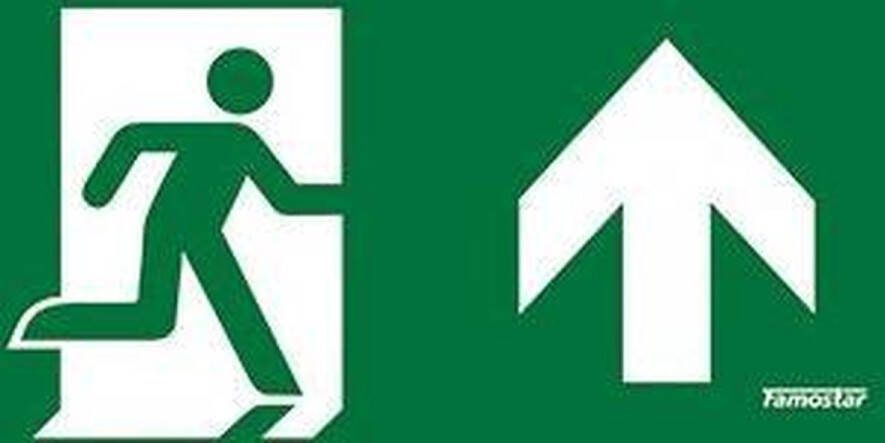 Famostar Pro Pictogram Noodverlichting 392713 E3CYG