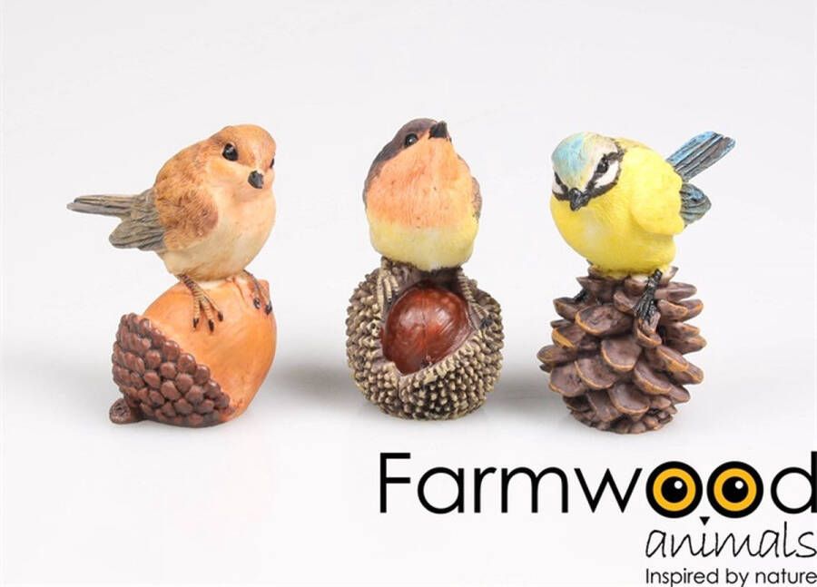Farmwood Animals Tuinbeeld Vogel op noot 5x3x6 cm (1 stuk) assorti