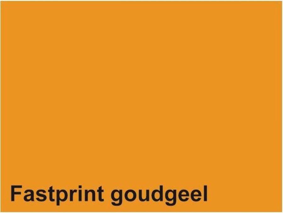 FastPrint Kopieerpapier -50 a4 160gr goudgeel Pak a 50 vel