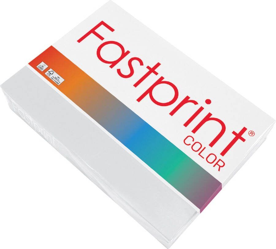 FastPrint Kopieerpapier a4 160gr grijs Pak a 250 vel