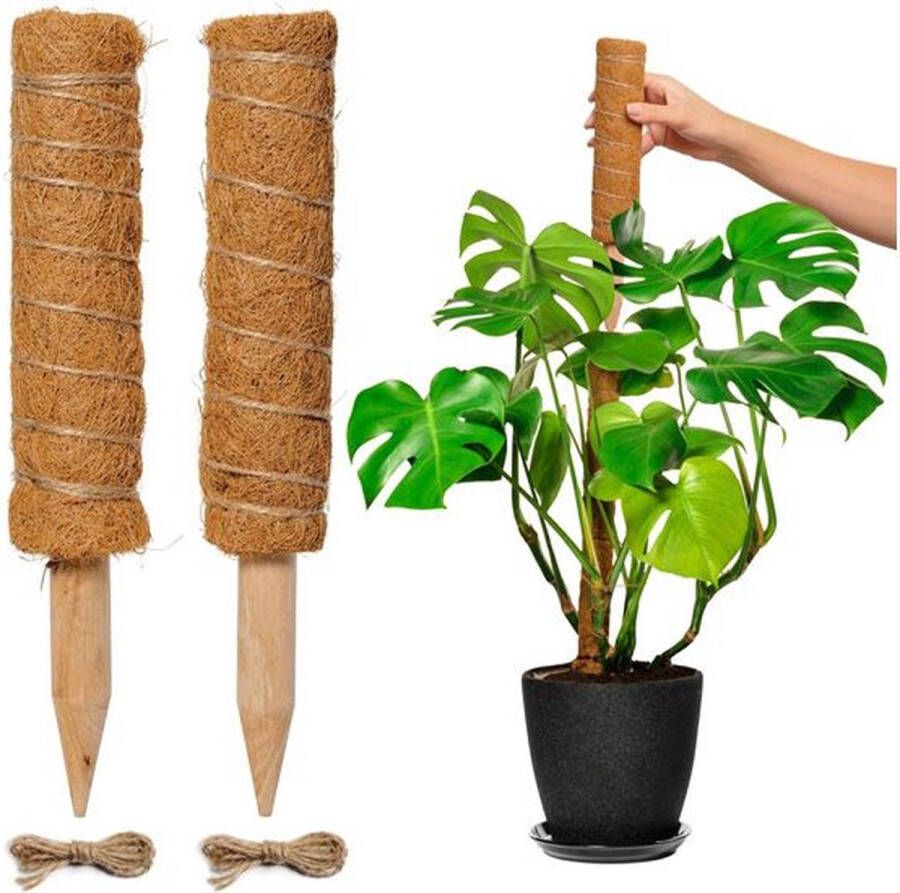 Fedec Mosstok voor planten Plantenstok 30cm tot 50cm 2 stuks