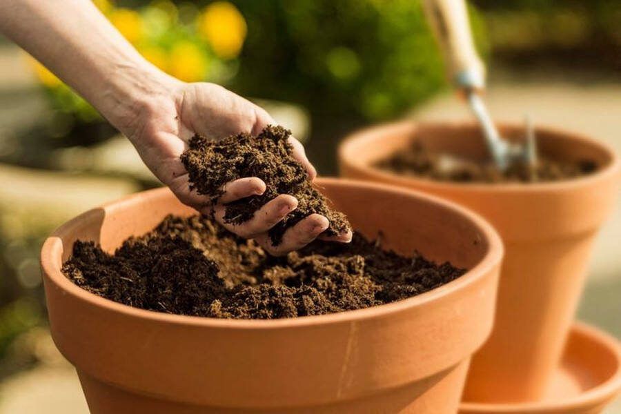 Ferrarium 20 Liter Biologische Potgrond met extra toegevoegde plantenvoeding biologische potgrond speciale potgrond kamerplanten potgrond balkon planten potgrond grote zak potgrond