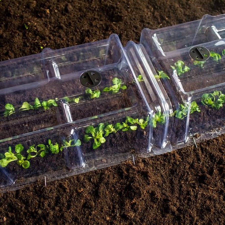 Ferrarium kweekkas koppelbaar 85 cm 3 stuks inclusief 2 sluitstukken tunnelkas kweekkas moestuin kweken