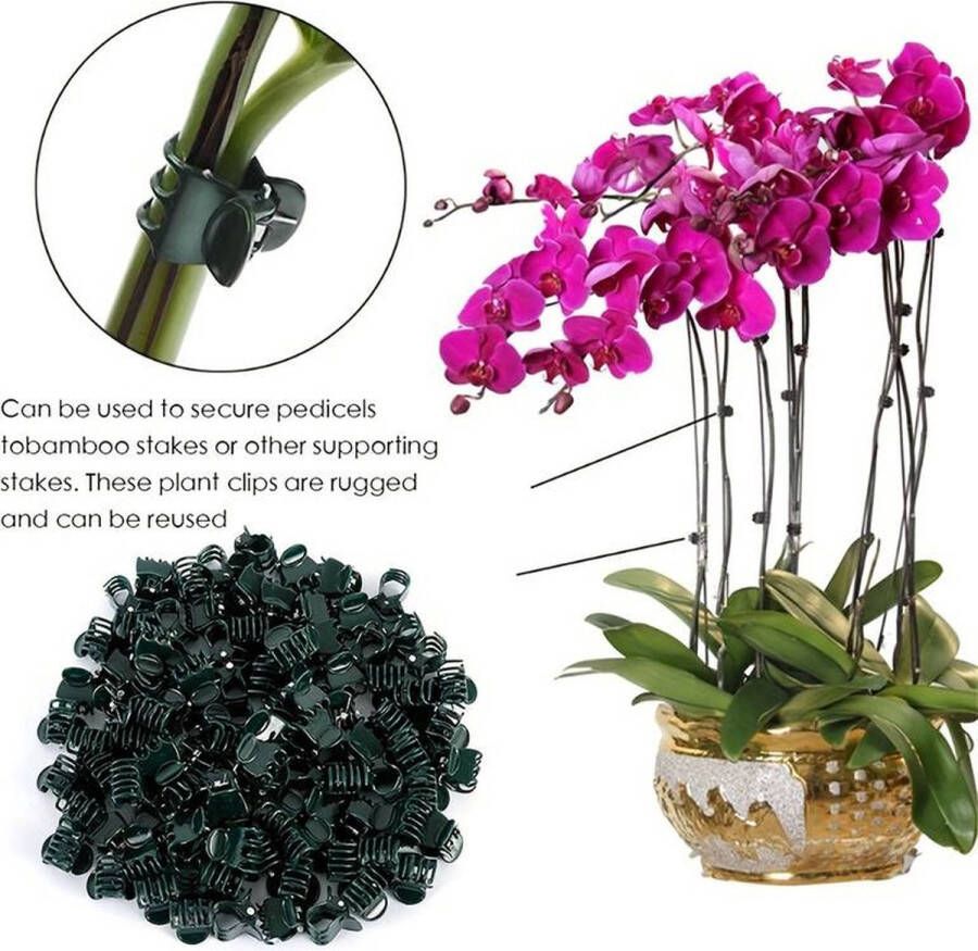 Ferrarium plantenklemmetjes 50 stuks donkergroen Voor orchideeën of klimplanten Plantenondersteuning orchideeën klemmetjes kleine planten klemmetjes plantenclips planten opbinden knijpertjes