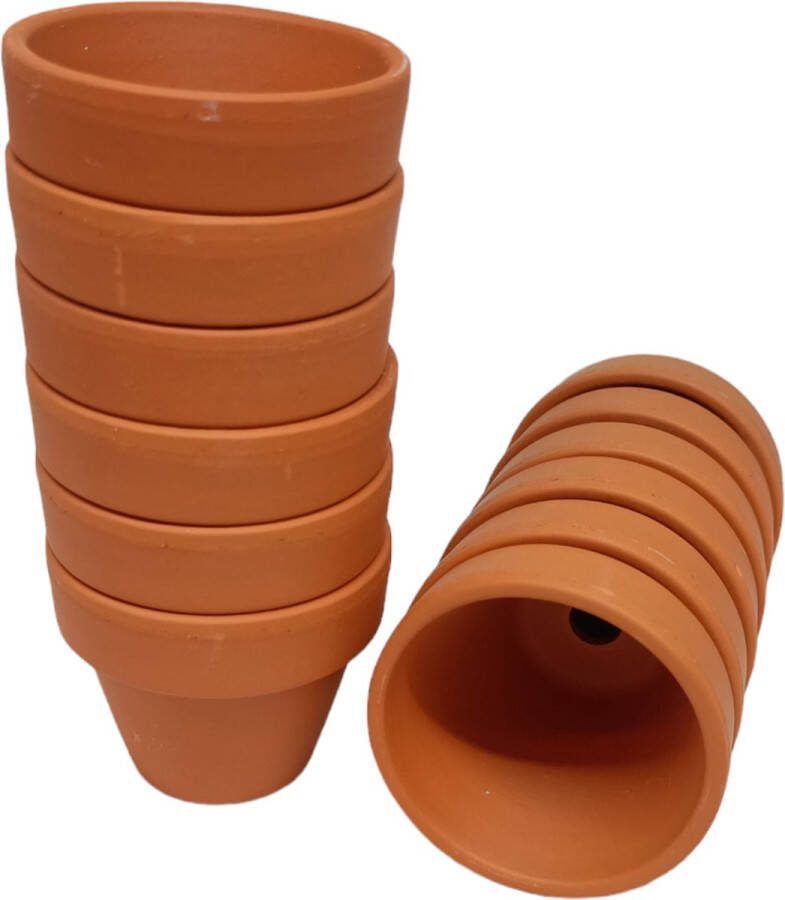Ferrarium Stenen terracotta potjes 5cm Ø 12 stuks terracotta kweekpotjes terracotta stenen potjes