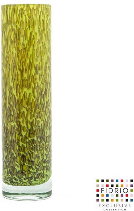 Fidrio Design vaas Cilinder FROGGY glas mondgeblazen bloemenvaas diameter 8 cm hoogte 30 cm