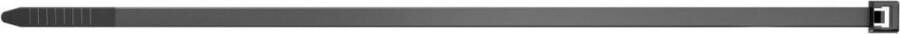 Fischer 37573 kabelbinder met parallelle doorvoer Nylon Zwart 100 stuk(s)