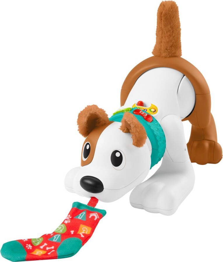 Fisher-Price 123 Kruip met mij Puppy Baby Speelgoed Franstalig