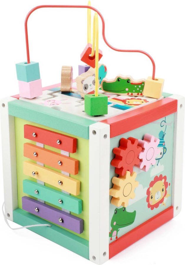 Fisher-Price Activiteiten Kubus Hout