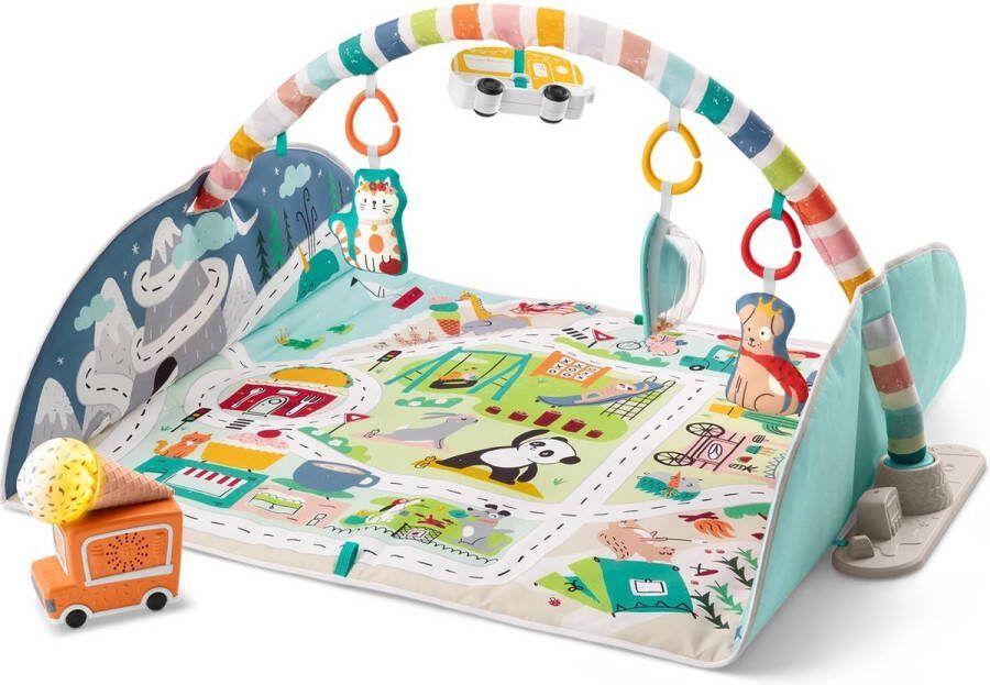 Fisher-Price Newborn City Activity Center met Jumbo Speelmat Babygym