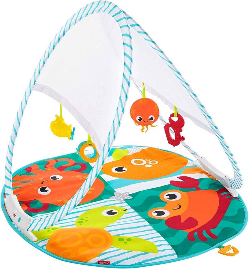 Fisher-Price Fold & Go Draagbare Gym