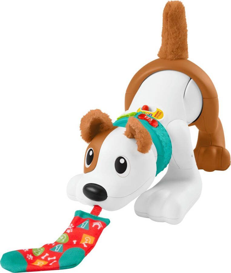 Fisher-Price Kruip met Puppy Baby speelgoed 6 maanden Nederlands