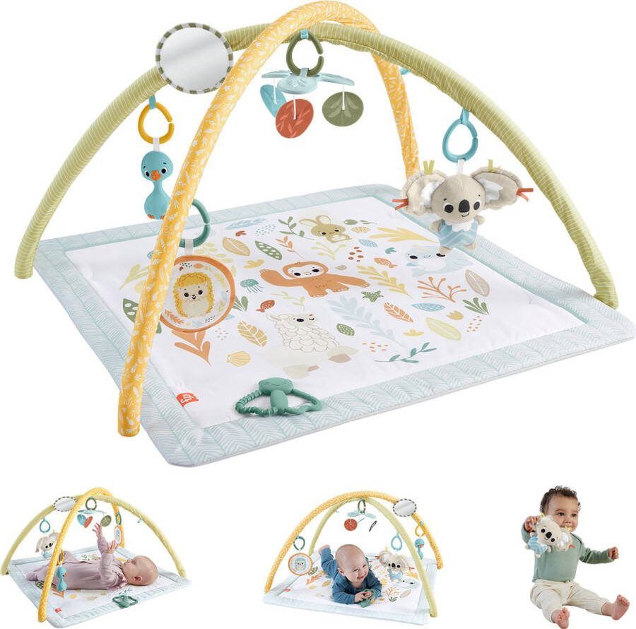 Fisher-Price Simply Senses gym voor baby's Babygym
