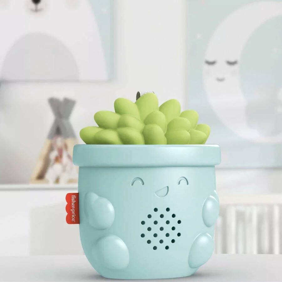 Fisher-Price Soothe & Go Succulent Kinderwagen baby speelgoed muziek speeltje Vetplant 20x10x8cm
