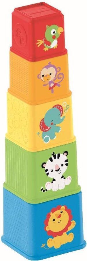 Fisher-Price Stapel en Leer Blokken Vormenstoof