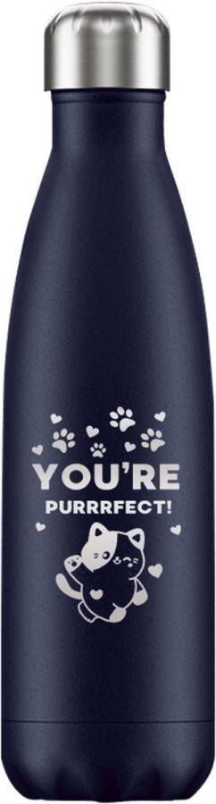 FLASKE Love Cat RVS Drinkfles van 500ML- Geschikt als waterfles thermosfles en thermoskan