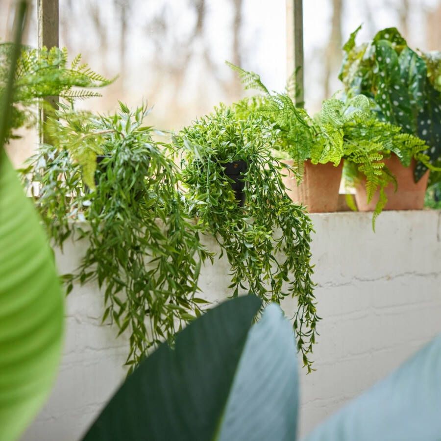 Fleurdirect Emerald Kunstplant hangend in pot buxus 50 cm