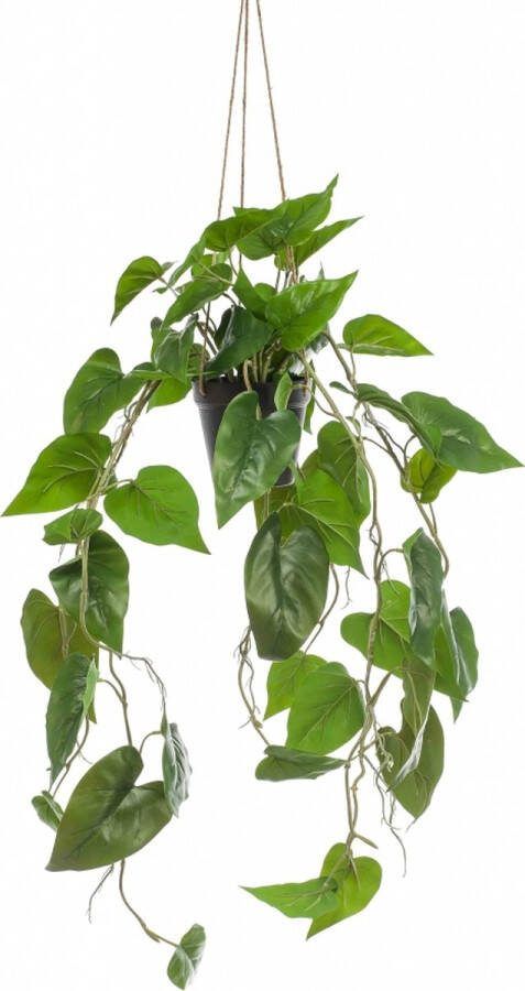 Fleurdirect Hangplant Philodendron Polyester Groen 0 x 80 x 0 cm (BxHxD)
