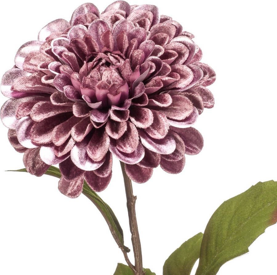 Fleurdirect Kunstbloem Dahlia Spray Polyester Roze 0 x 57 x 0 cm (BxHxD)