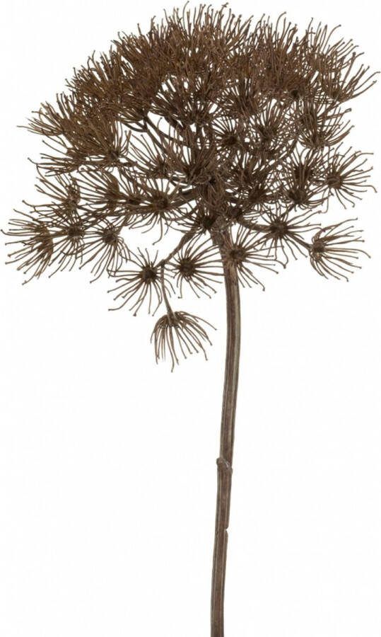 Merkloos Berenklauw Heracleum kunstbloem 80 cm kunstbloem Kunstbloemen boeketten