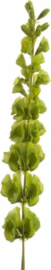 Easyplants Kunstbloem Mollucella Groen Polyester Groen 80x0x0cm (hxbxd) Woonexpress