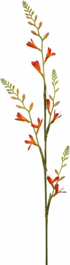 Fleurdirect Kunstbloem Montbretia Polyester Oranje 0 x 93 x 0 cm (BxHxD)
