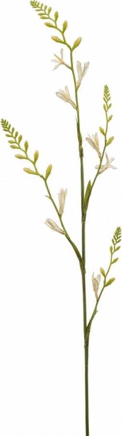 Fleurdirect Kunstbloem Montbretia Polyester Wit 0 x 93 x 0 cm (BxHxD)